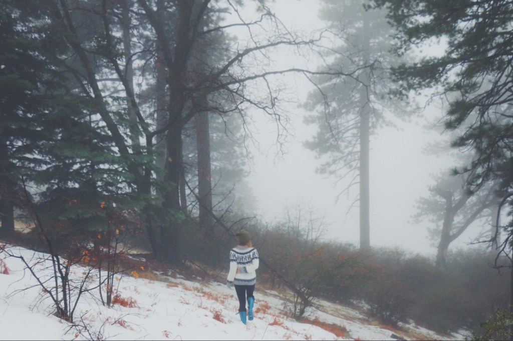 The Dream That Chooses You [Britt’s&nbsp;Thoughts]