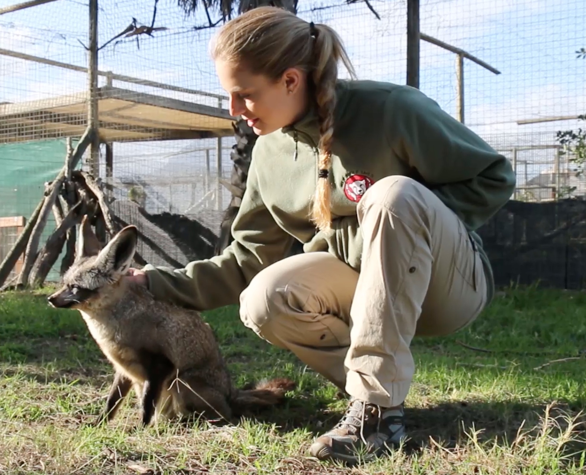 Screen Shot 2018-08-20 at 5.05.04 PM