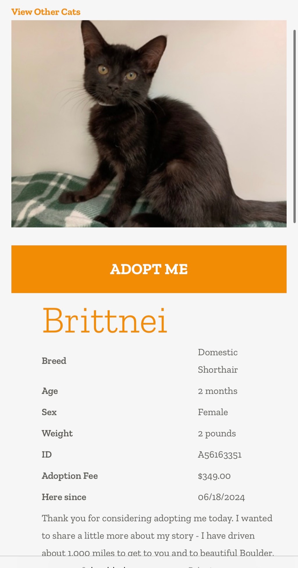 Frost Fund Saves Seven Cats From Overcrowded California Shelter and Transports to Boulder,&nbsp;Colorado!