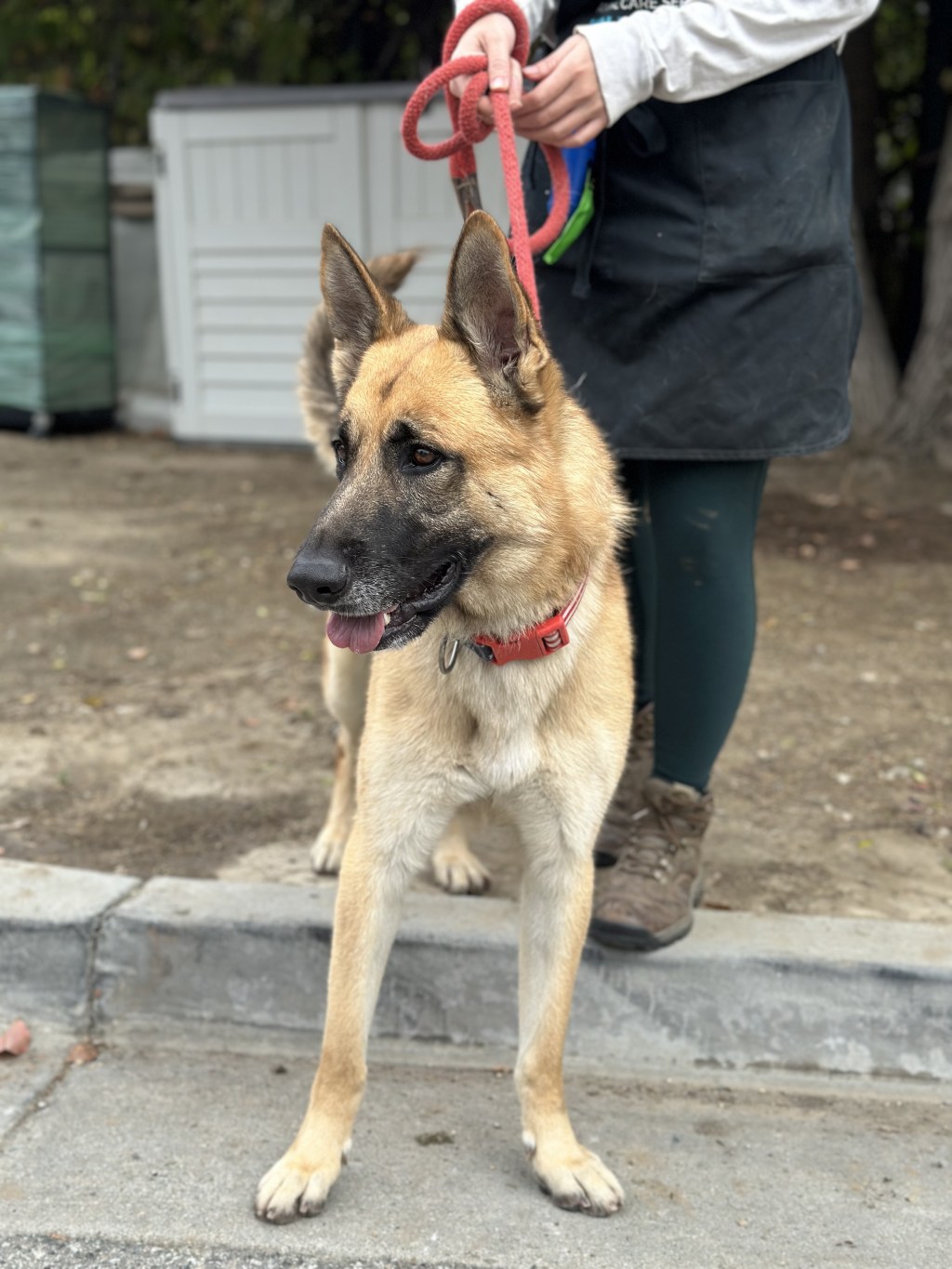 Sweetest Video of Some of the Lives Frost Fund Has&nbsp;Saved