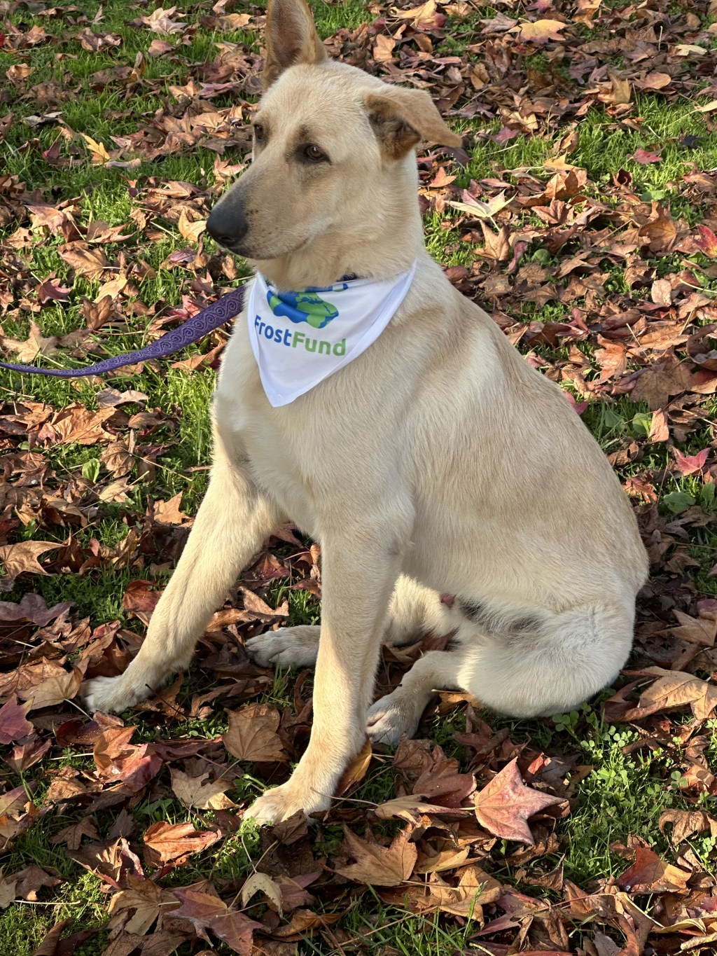 Can Monty Send You A Valentine’s Day&nbsp;Gram?