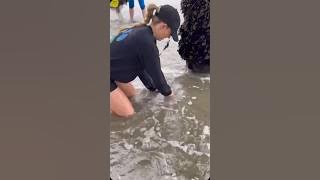 Reminder That Our Actions Impact Our&nbsp;Environment!